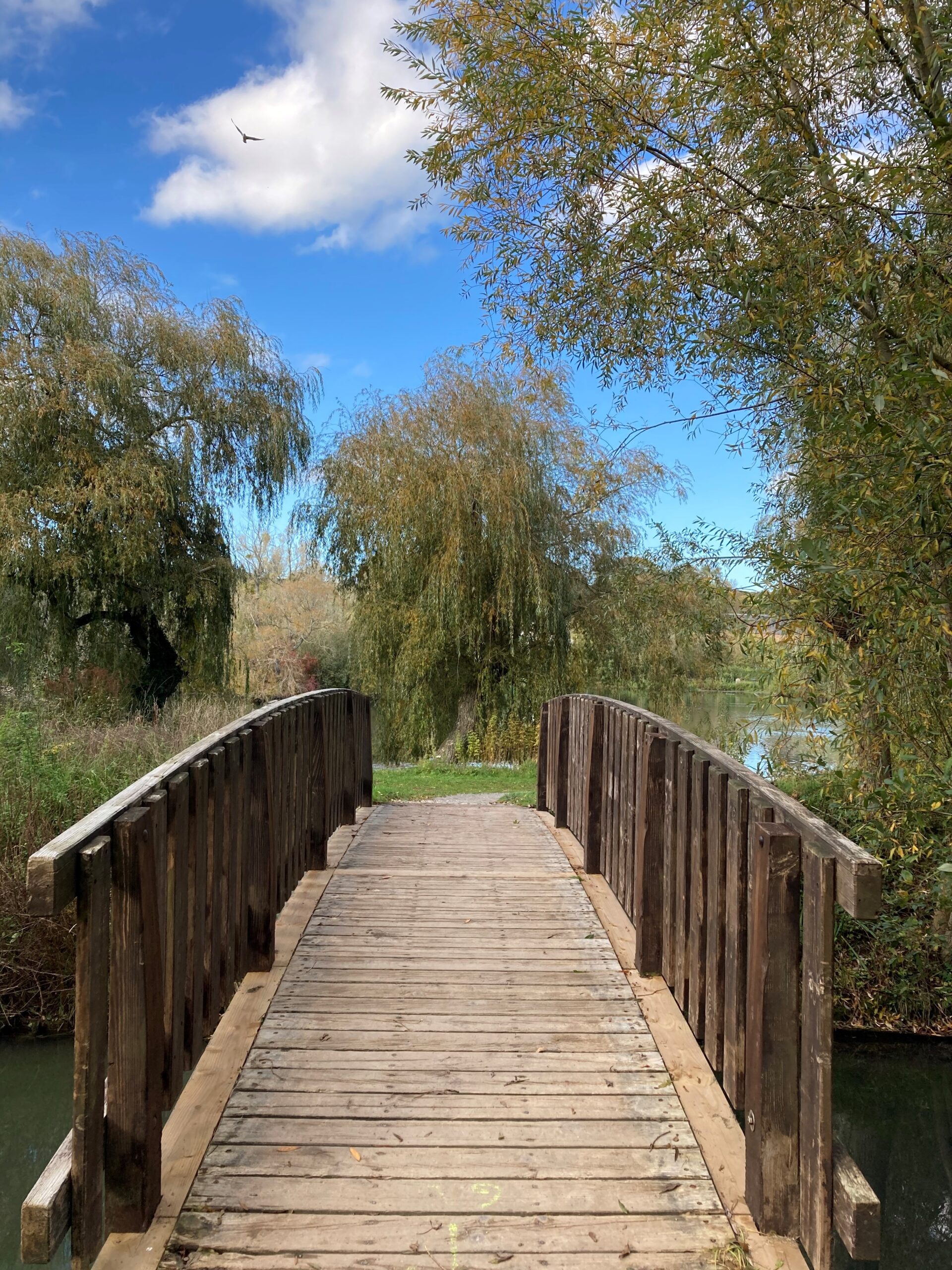 Photo de l'événement